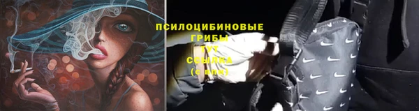 а пвп мука Надым